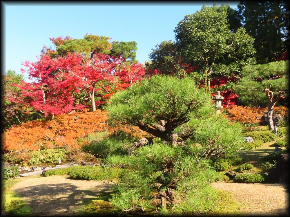 对龙山庄庭园丨日本京都丨七代目小川治兵衛-26