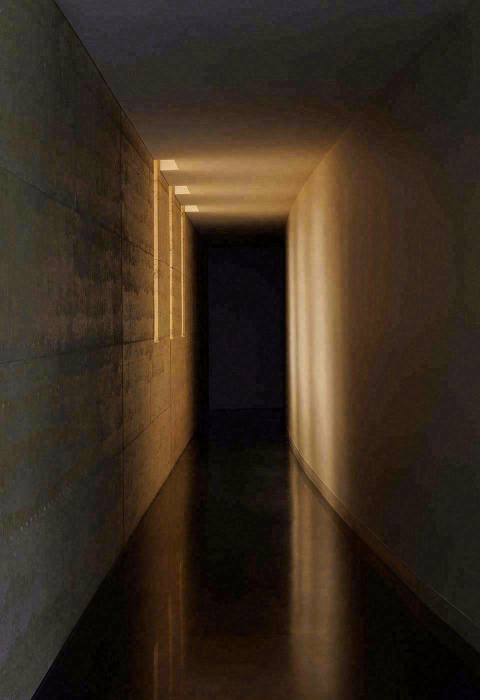 澳大利亚半岛之家丨Wood Marsh Architects-36