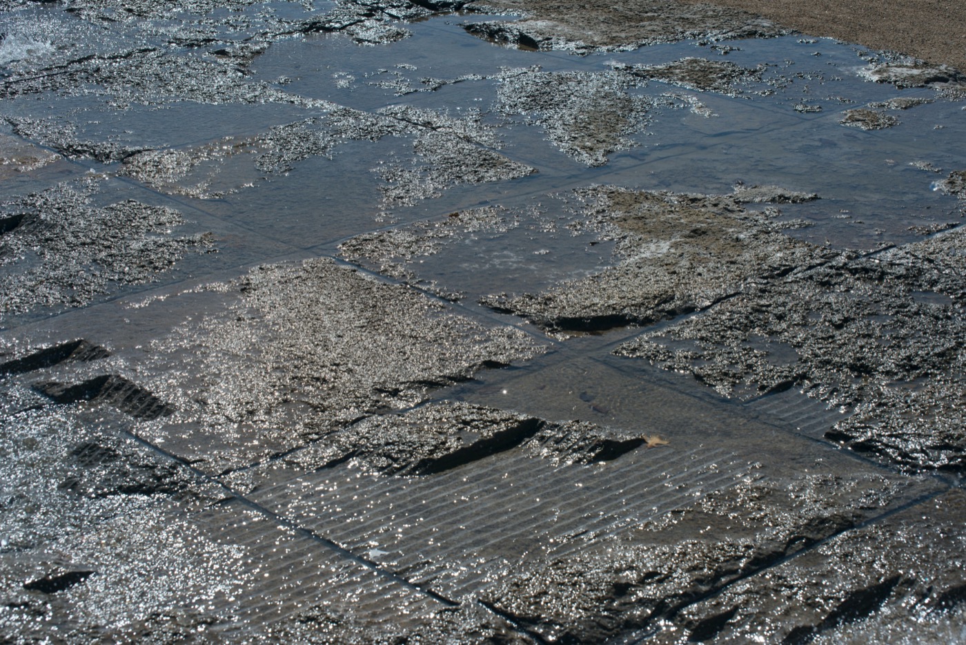 城市花园复兴 · 德国布尔城市中心更新-3
