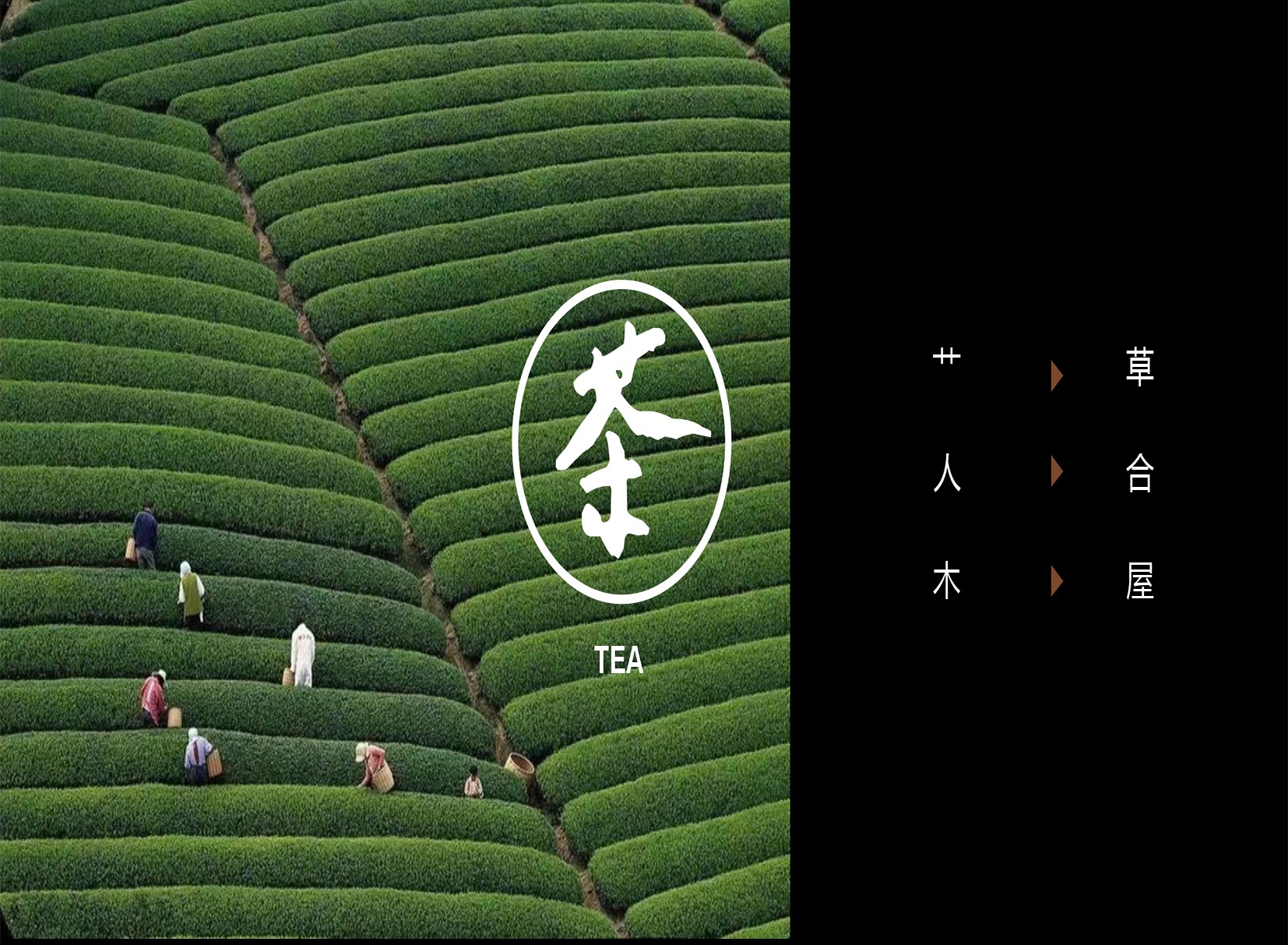 茶韵同尘 · 光影木屋民宿设计-2