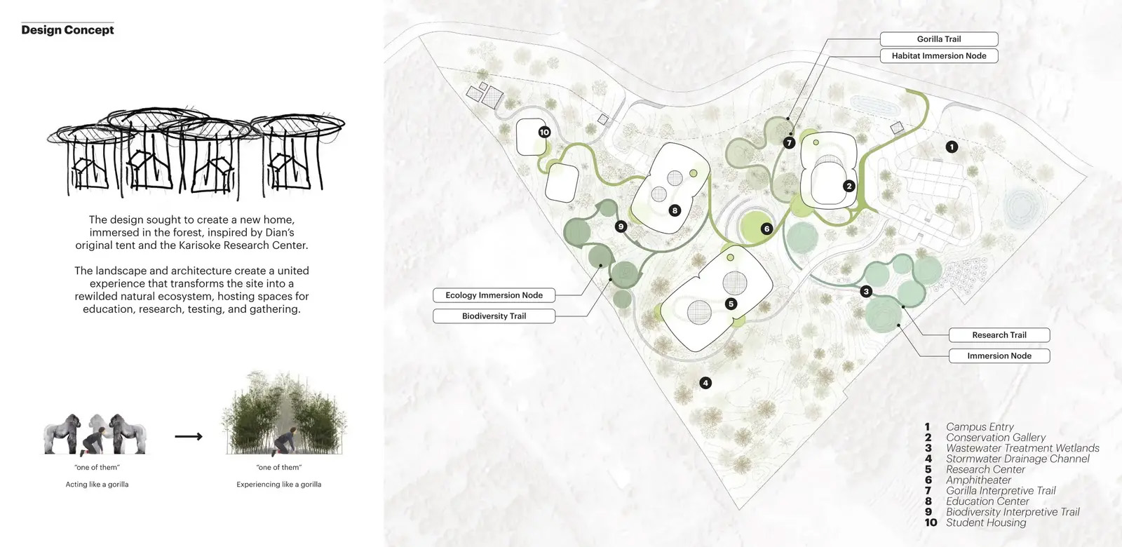 戴安·弗西基金会 & 艾伦·德詹尼丝园区丨卢旺达丨MASS Design Group + TENxTEN-26