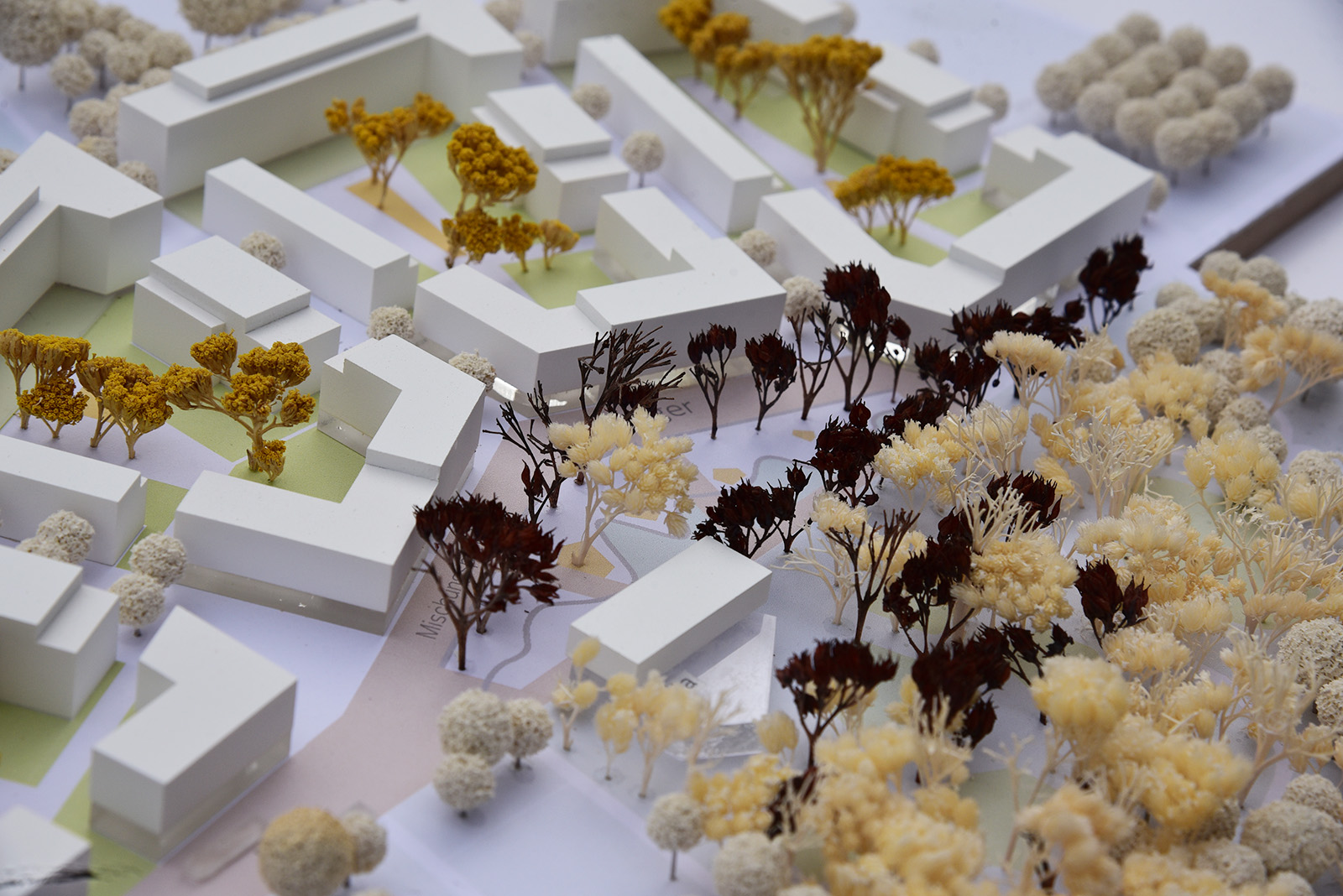 Baugebiet „Neues Wohnen in Frankfurt-Eschersheim“ - torsten becker stadtplaner-7