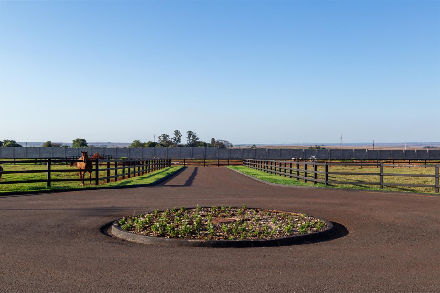 Haras HWJ（巴西马场建筑）-7