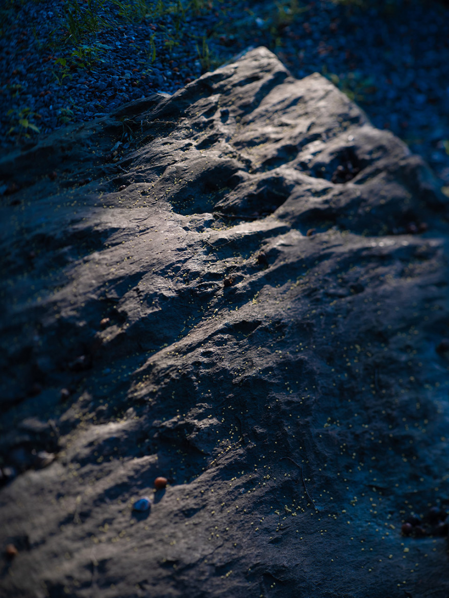 上荔晶时代餐厅(花山)丨中国武汉丨朗荷STUDIO-124