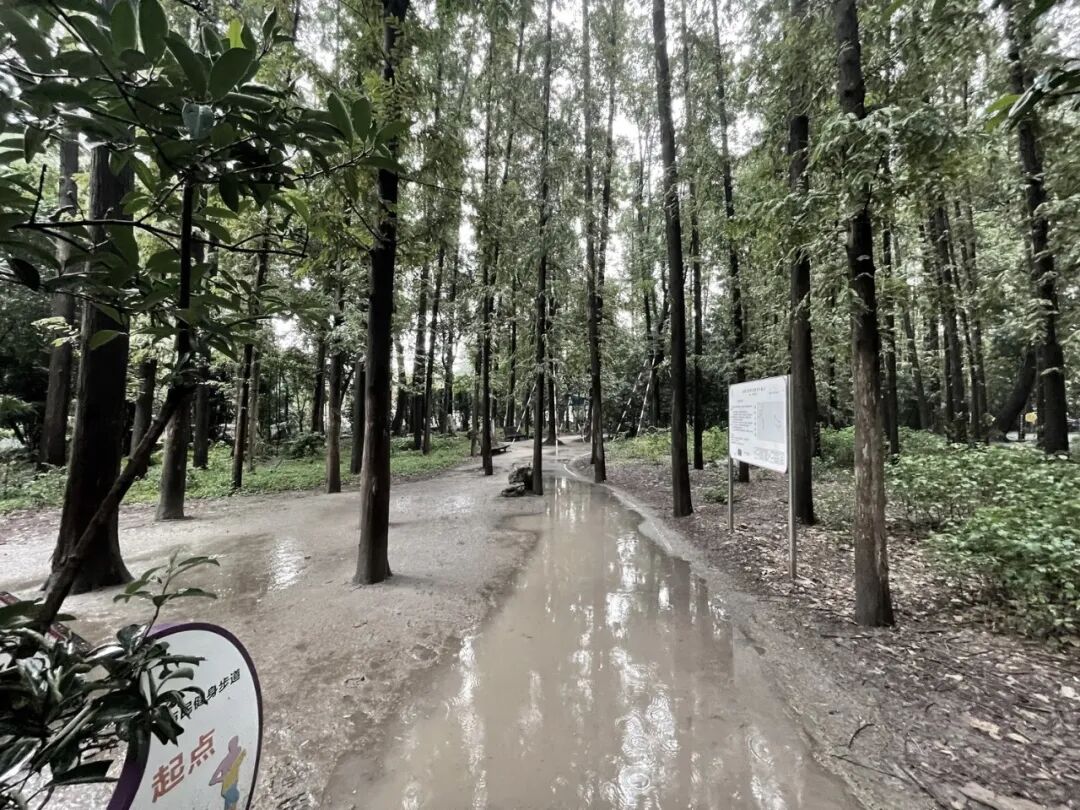 中国园林·理事专栏|“拓”之力量：杨浦公园改造纪实(三)-196