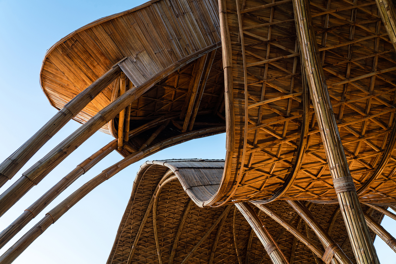 大鹏展翅 · 印度最大自然材料公共建筑丨Aroty Panyang 团队-10