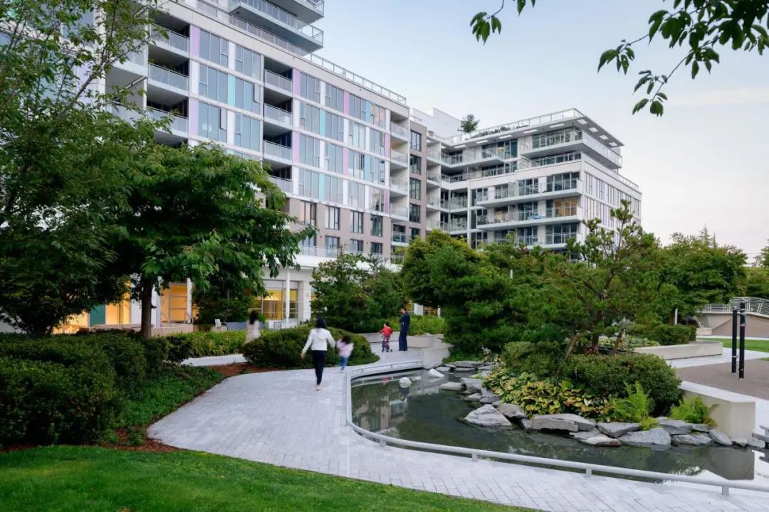 温哥华 Ketcheson Neighbourhood 公园丨哥伦比亚-11