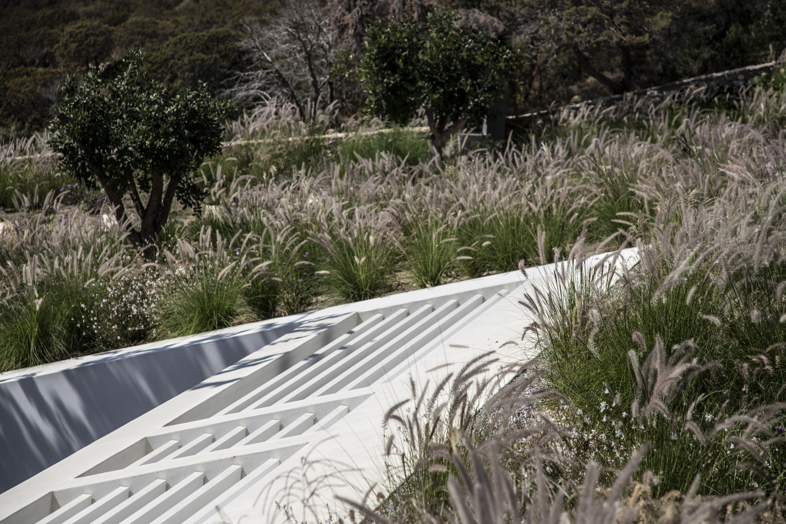 Secret Garden House | Scapearchitecture-34