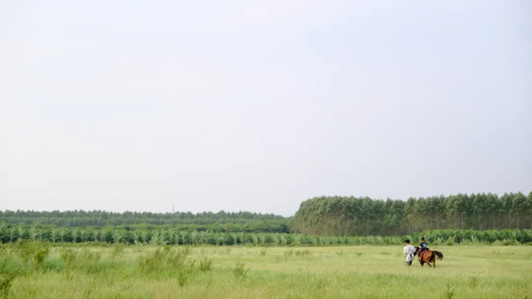 自然之旅 · 广州熹游露营基地丨中国广州丨熹所设计-28