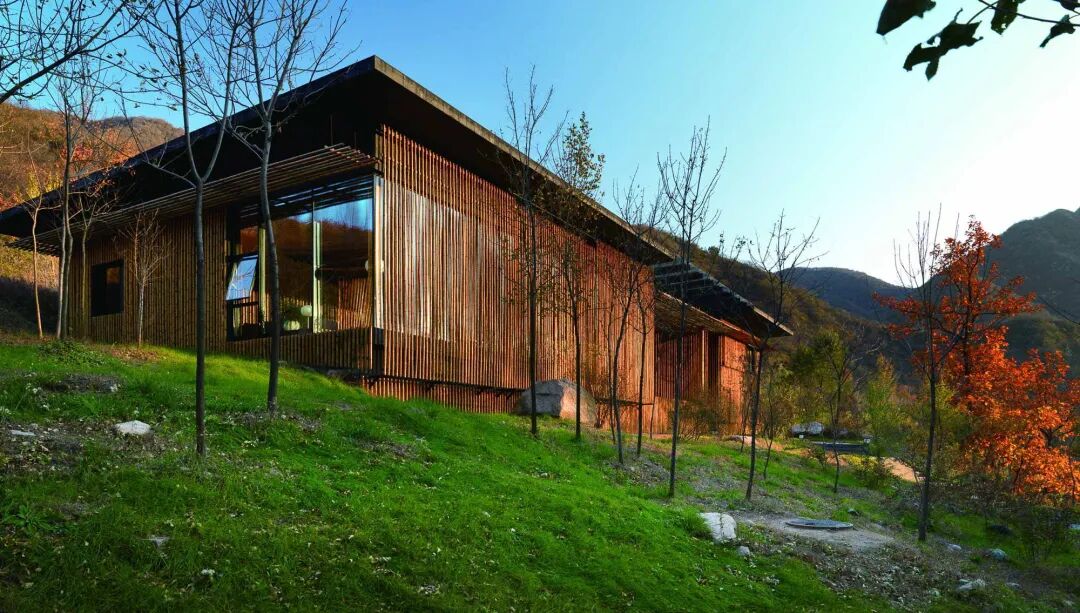 从“网红”到“长红”，如何用建筑艺术对抗城市化焦虑？-52