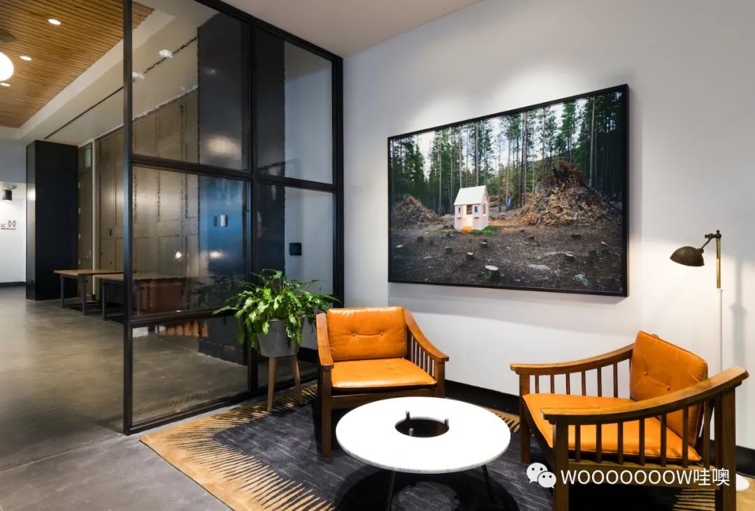 丹佛 Maven 精品酒店，演绎城市风情与艺术融合-2