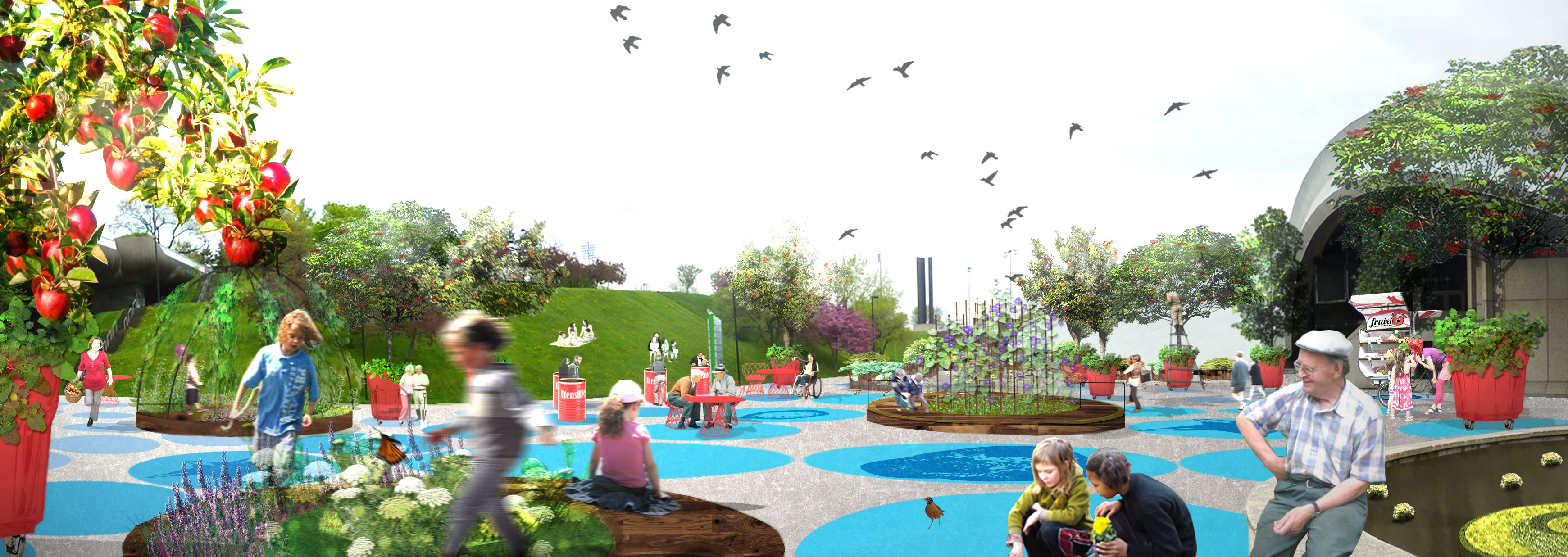 弗拉恩·城市菜园-2