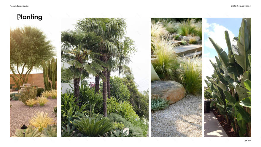 体育与娱乐区概念设计丨埃及丨Pinnacle Design Studio.-26