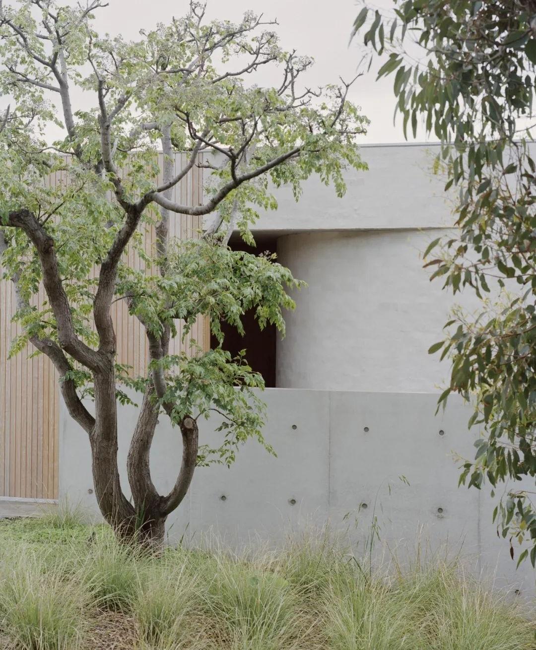 泳池房丨line architects-37