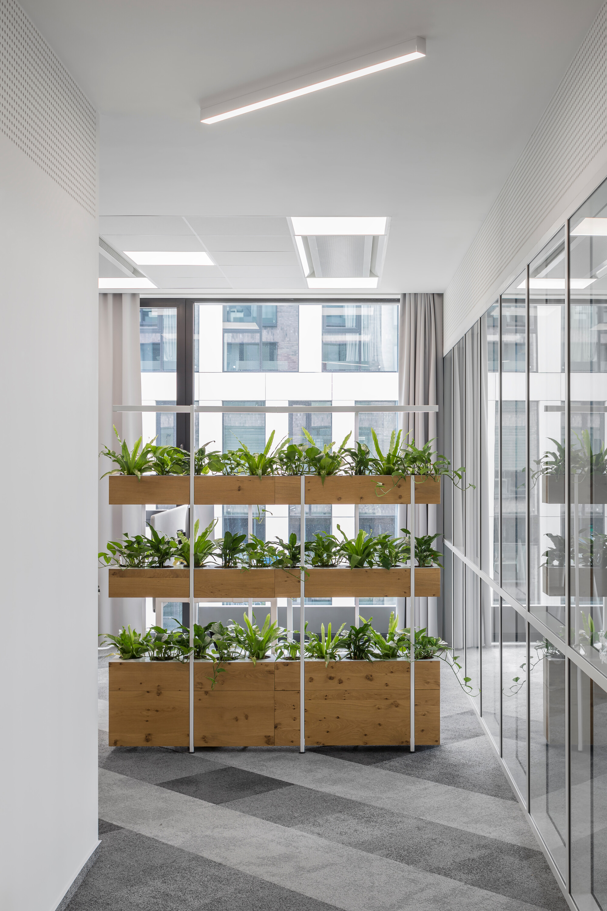 FEG Prague 总部办公室设计丨Studio Perspektiv-51