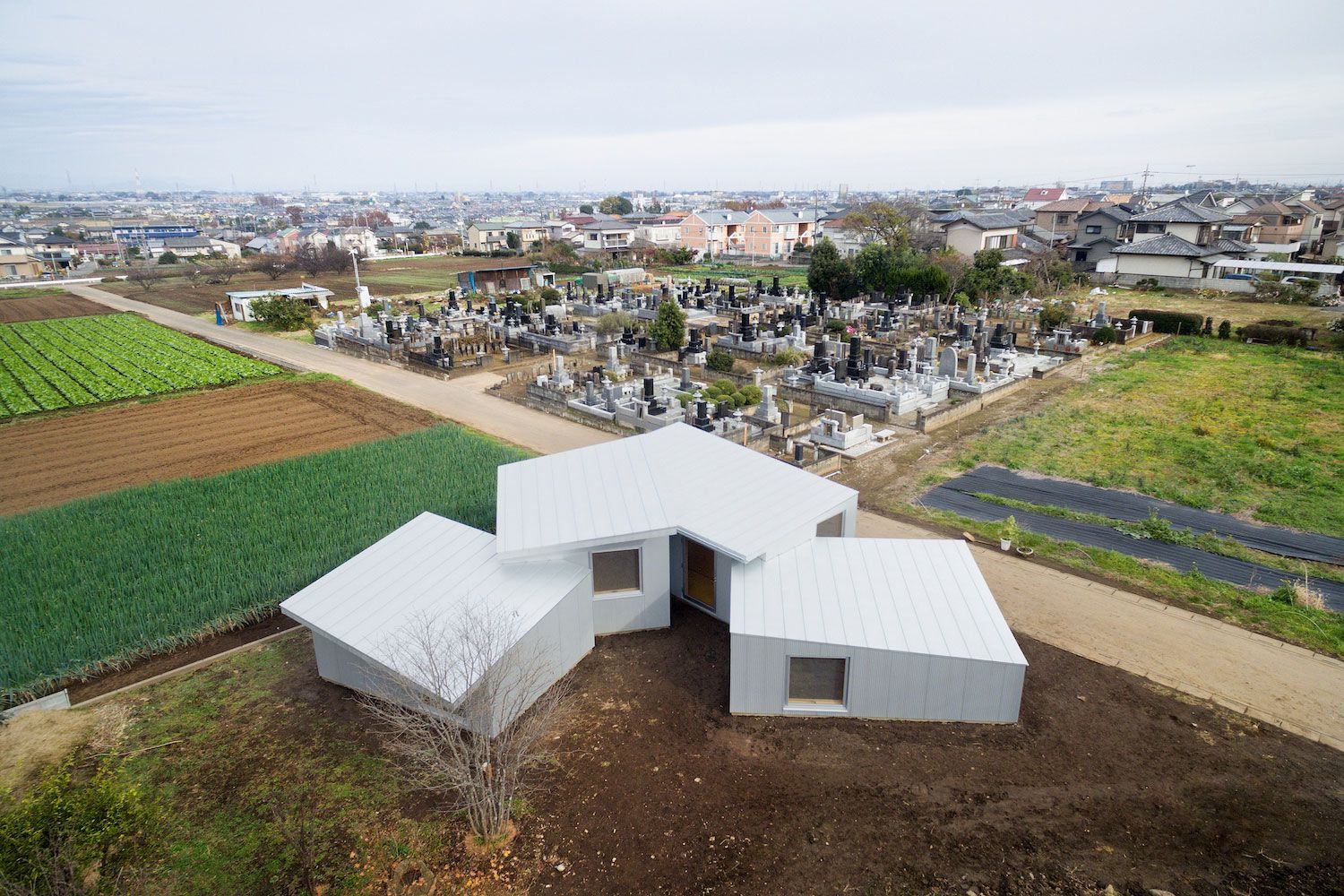 Miya Akiko Architecture Atelier：屋顶与窗户-0