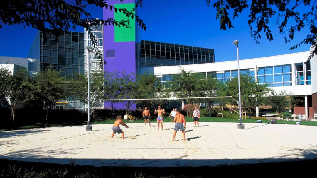 谷歌启用纽约哈德逊总部：里面有60个“社区”-182