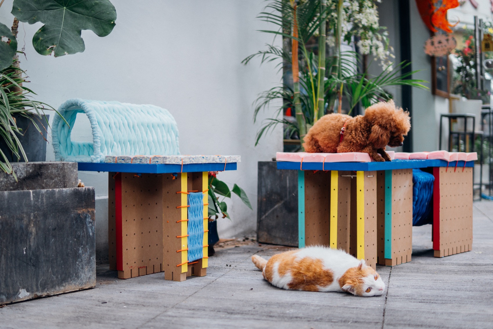 转接头丨中国深圳丨梓集fabersociety-29