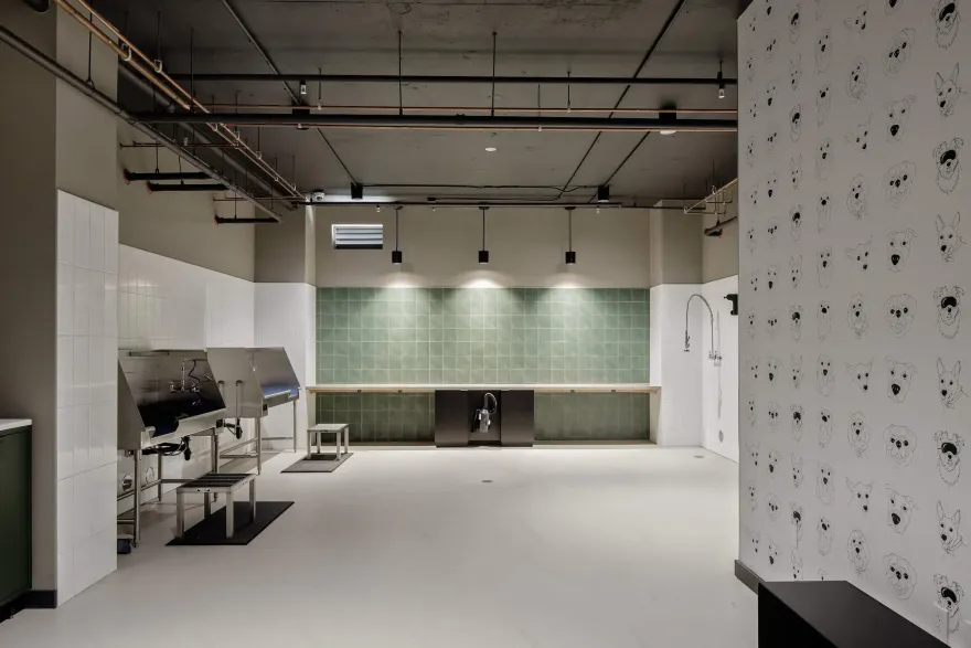 丨美国丨Vida Design-70