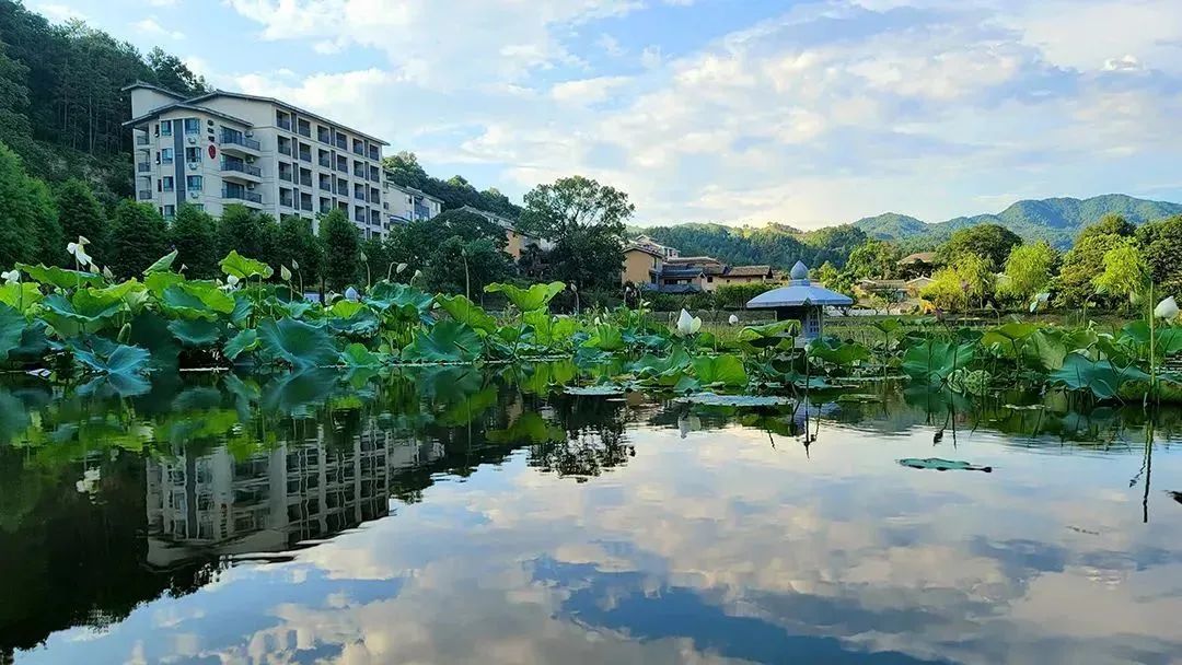 棕榈乡村设计地图带你云游四海丨棕榈设计集团有限公司-56