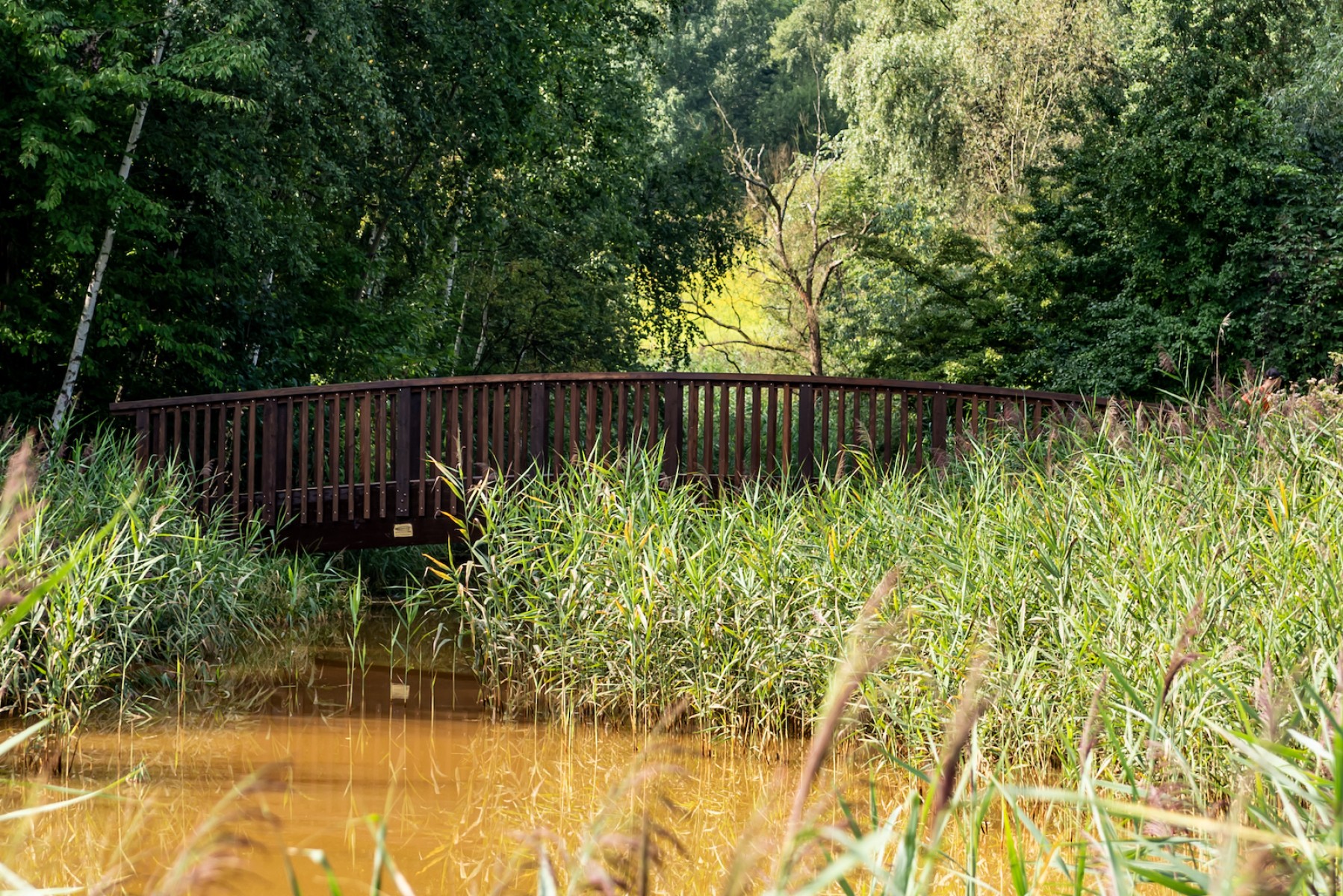 比托姆市亚当·密茨凯维奇公园木桥及栈桥修复丨波兰比托姆-12