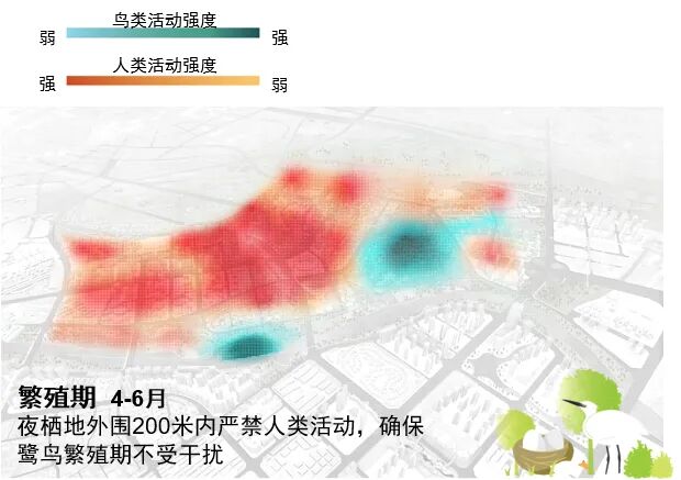顺德鹭鸟湿地片区景观规划丨中国佛山丨AECOM-70