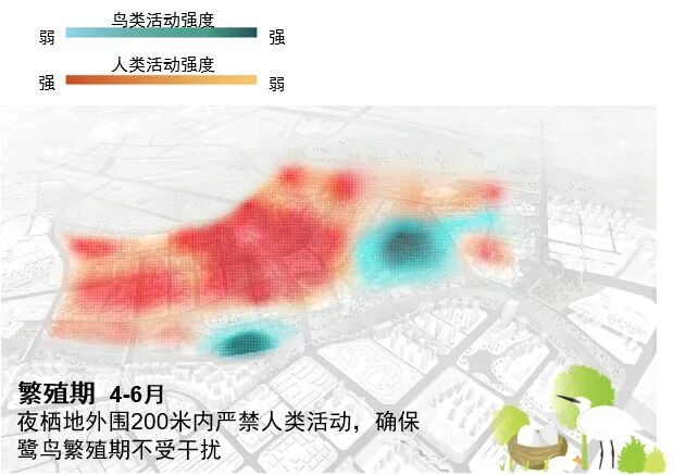 顺德鹭鸟湿地片区景观规划丨中国佛山丨AECOM-70
