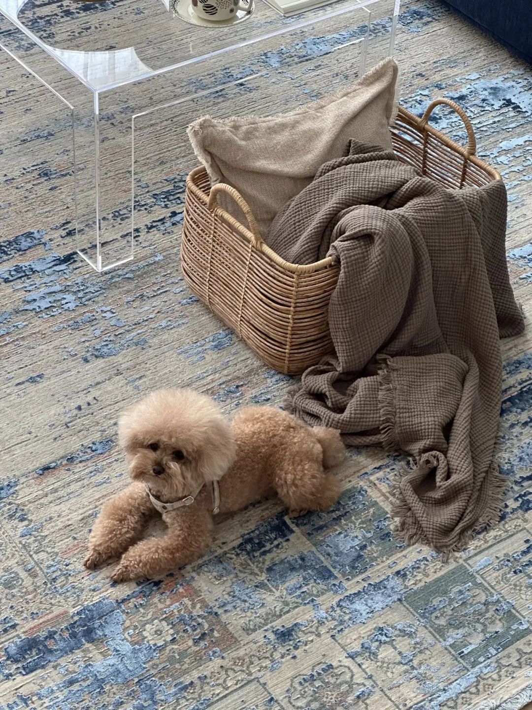 蓝色潮汐别墅设计丨中国苏州丨一野设计-18