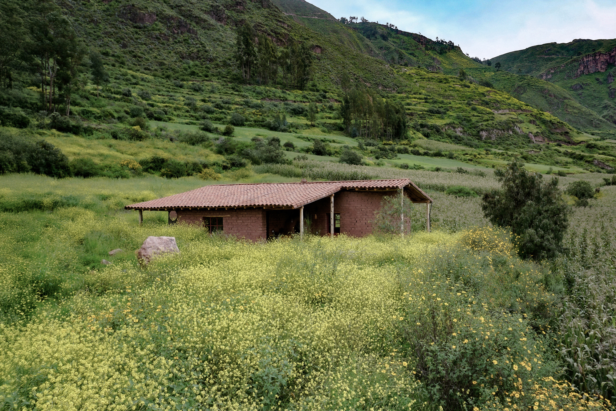 丨秘鲁丨Taller MACAA-36