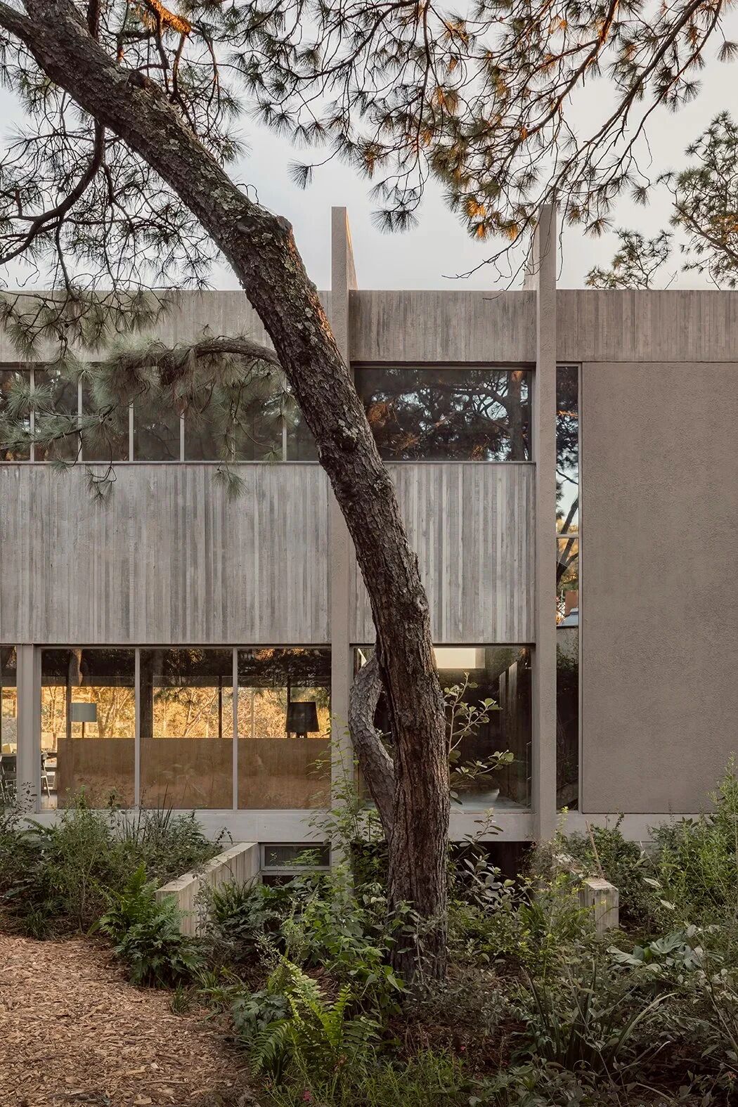 COA Arquitectura,森林庇护所丨墨西哥-15