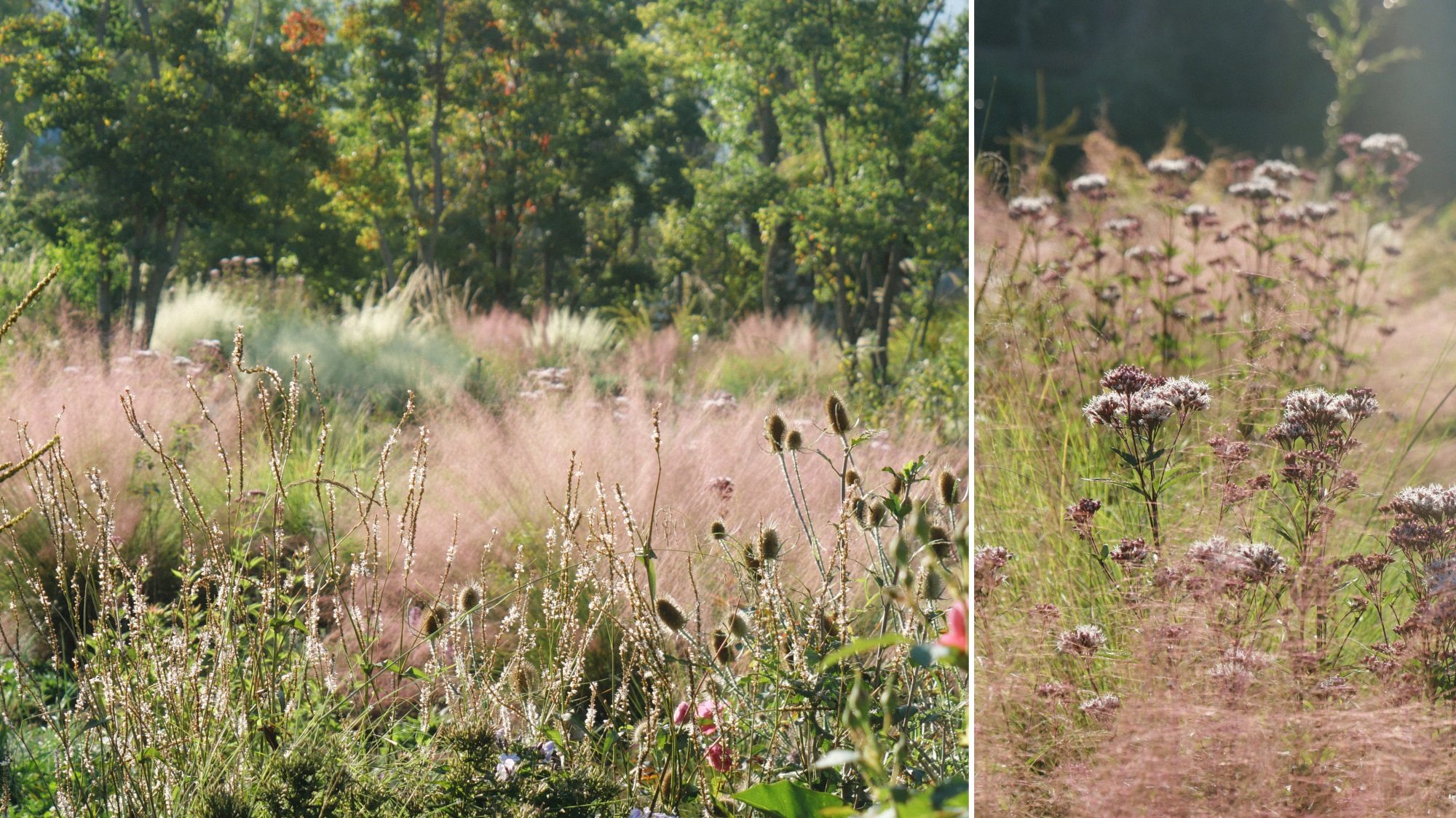 大理山下花园丨中国大理丨上海叙野景观设计有限公司-49
