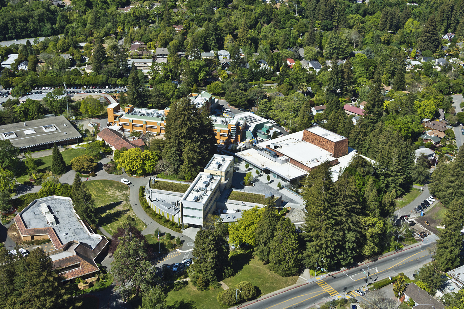 马林学院美术大楼丨Wong Logan Architects-1