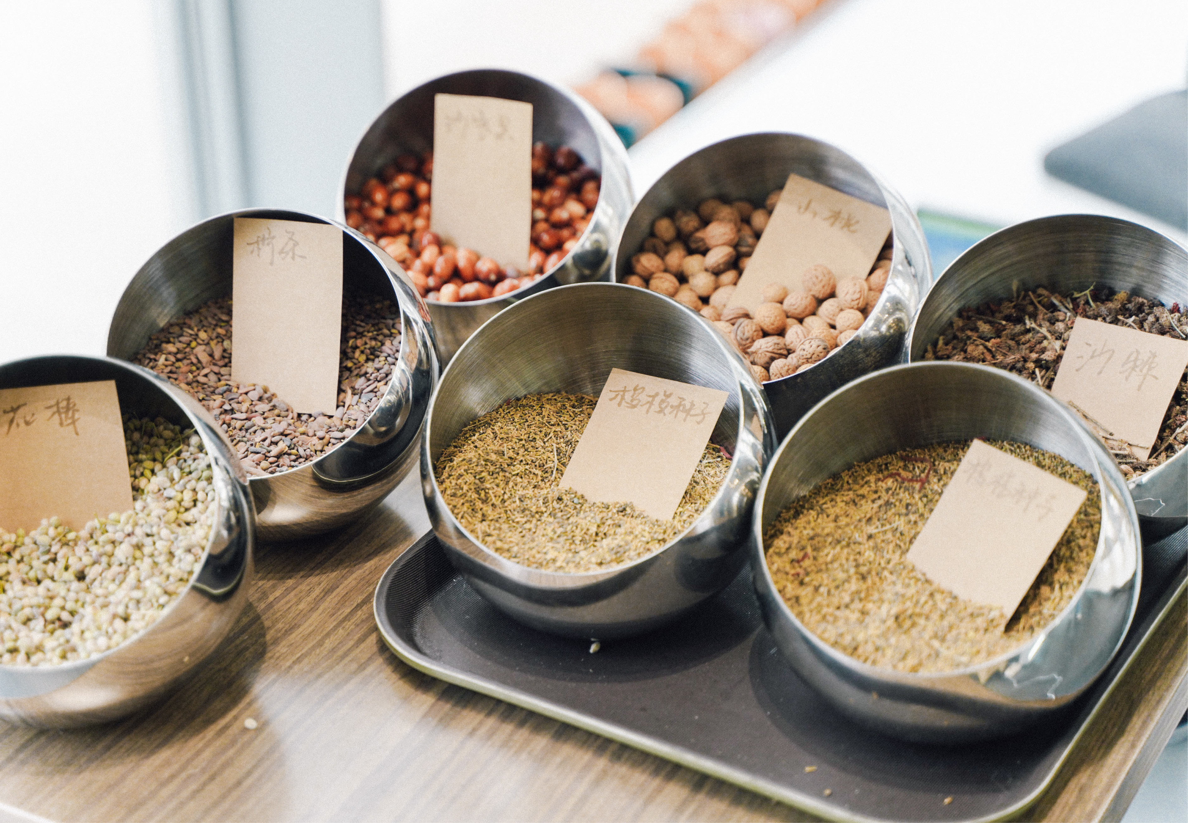 杭州天目里绿色嘉年华「森林里」丨中国杭州丨蚂蚁森林,杭州天目里,不是美术馆-39