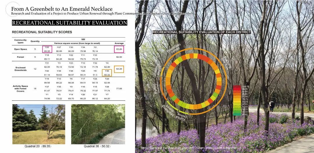 上海外环林带植物群落评估与更新研究 | 从绿带到珍珠项链-64