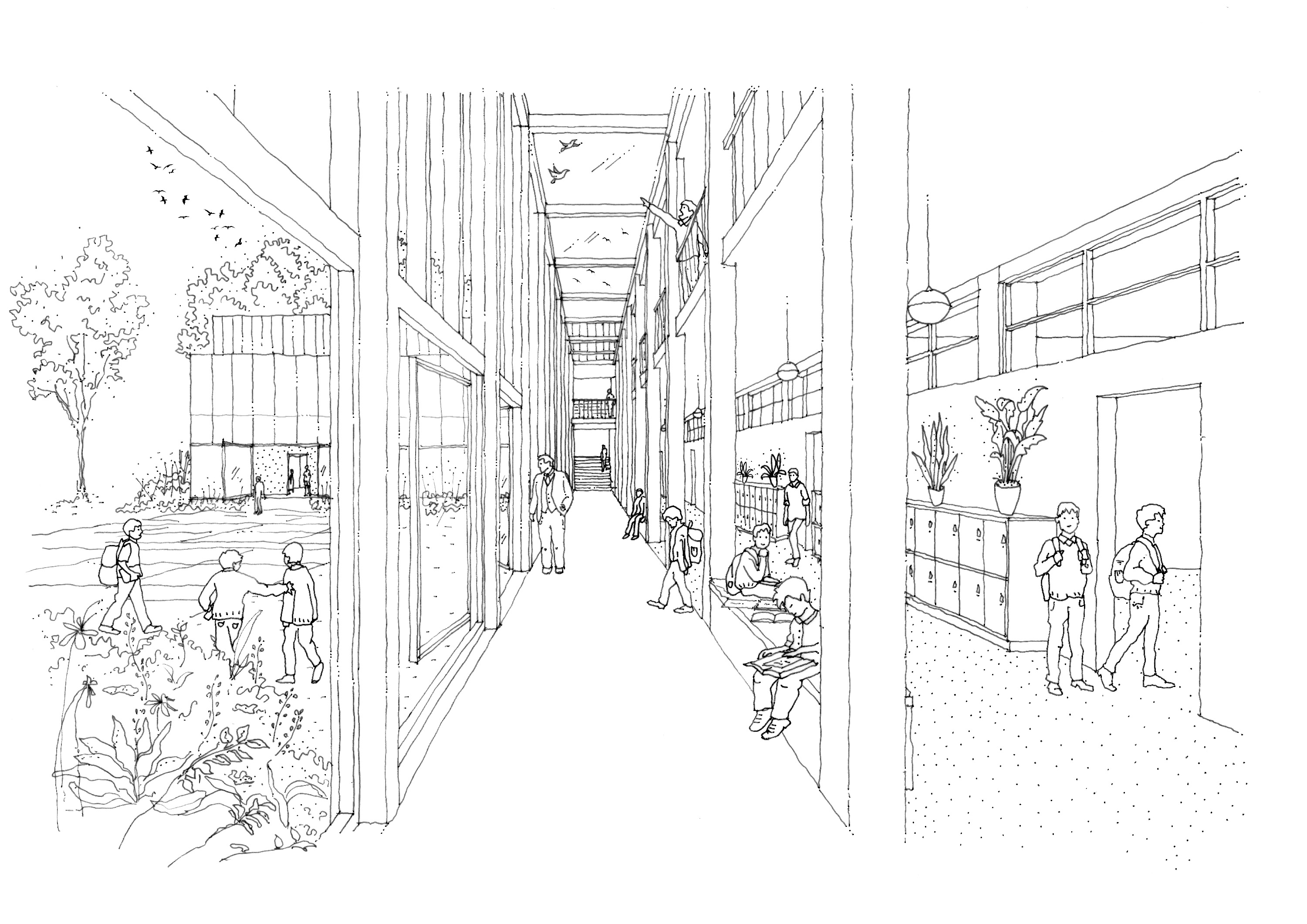 Dulwich College（达利奇学院）碳净零学校建筑丨也门达利-7