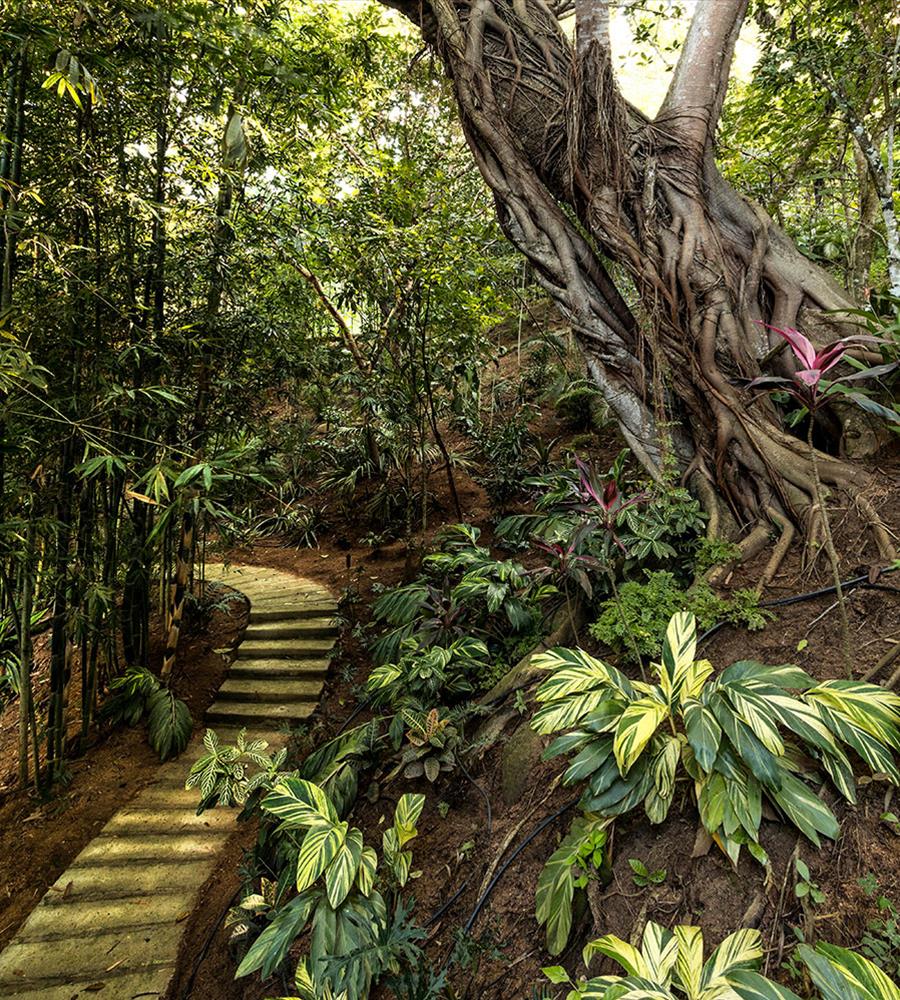 墨西哥山间别墅 Casa Nido-9