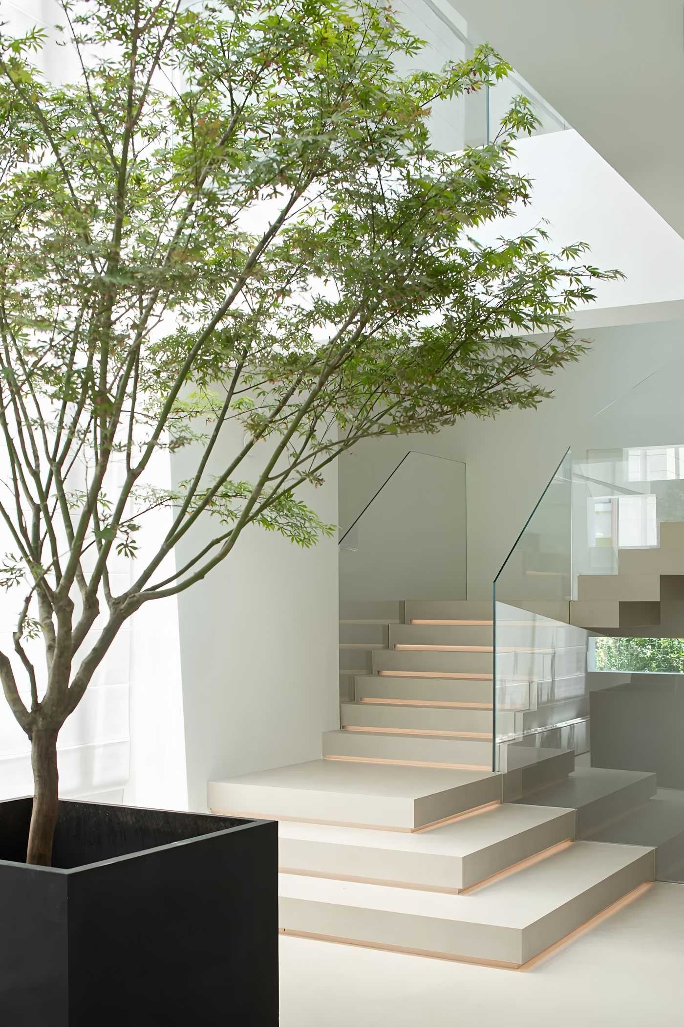 浙江台州500m²自然之息丨中国台州丨倾城国际设计-8