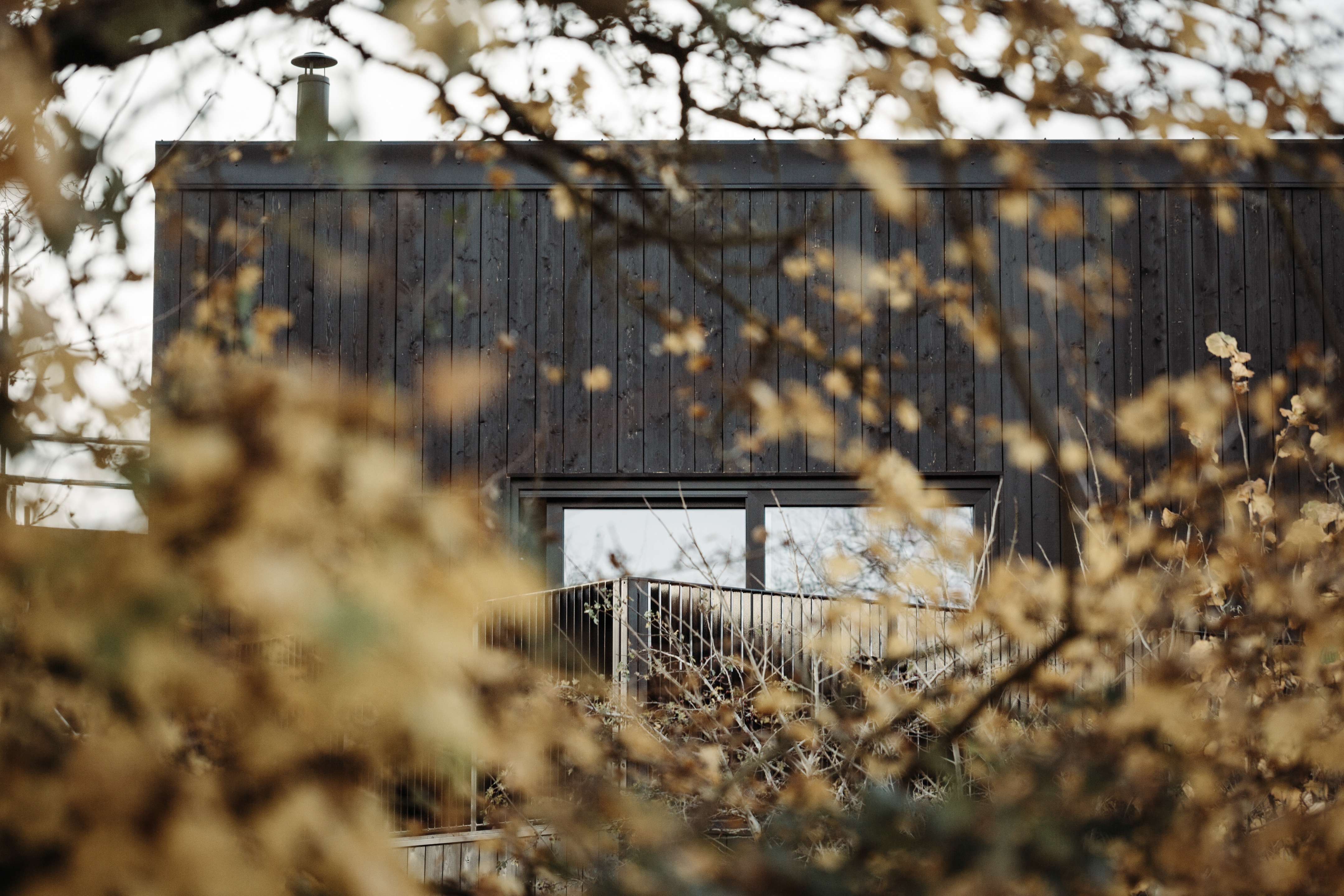 猎鹰之家丨英国丨Koto Design-8