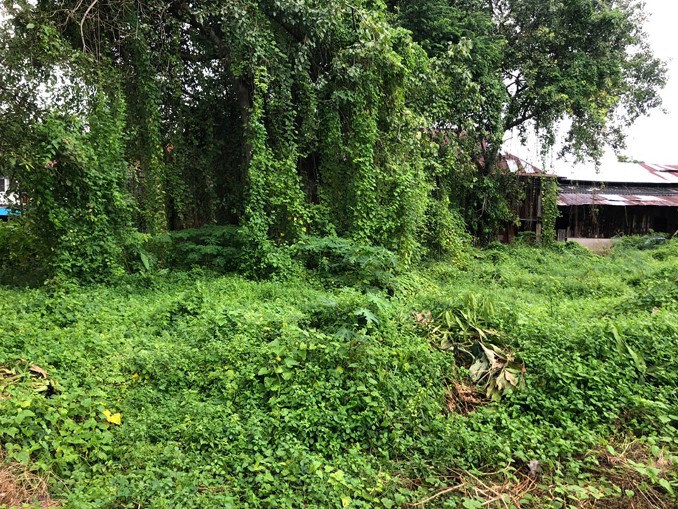 Suan San口袋公园丨泰国曼谷丨Shma Company Limited-26