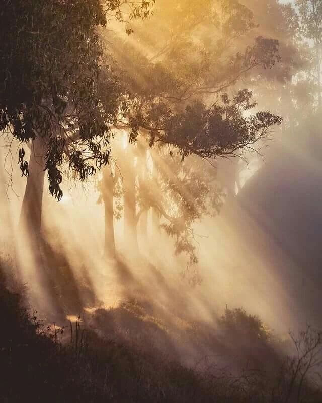 新作 齐磊 泉州550㎡自然静奢别墅丨中国泉州丨杭州拾间系设计-1