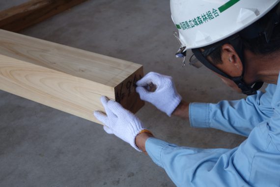 久山幼稚园木材杨氏系数确认-8