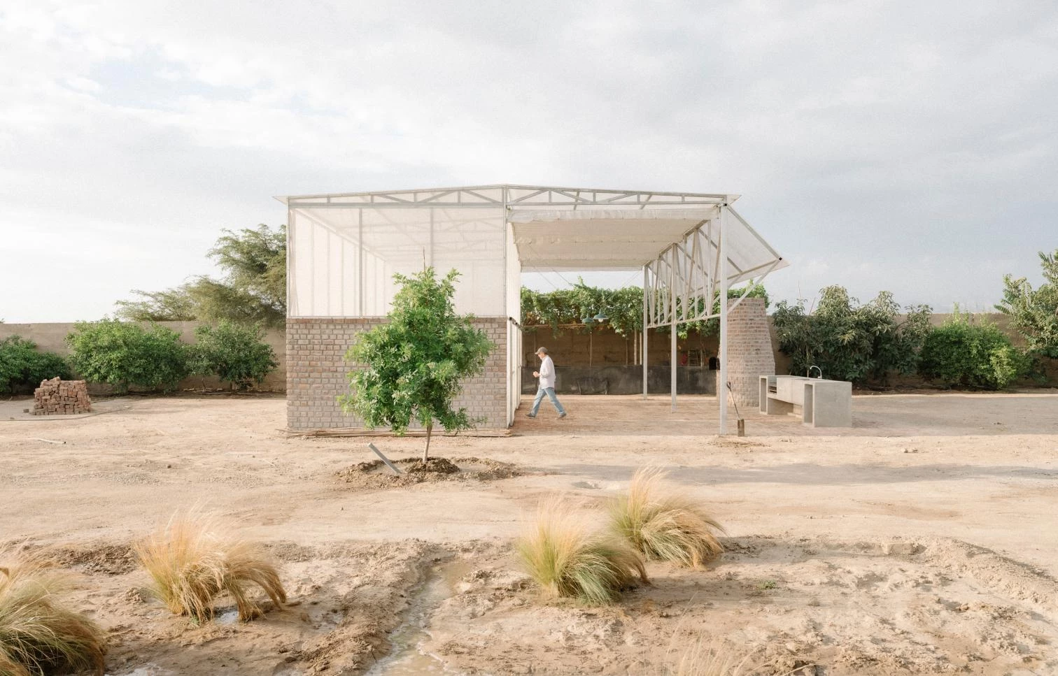 植物与人共存的温室丨秘鲁-8