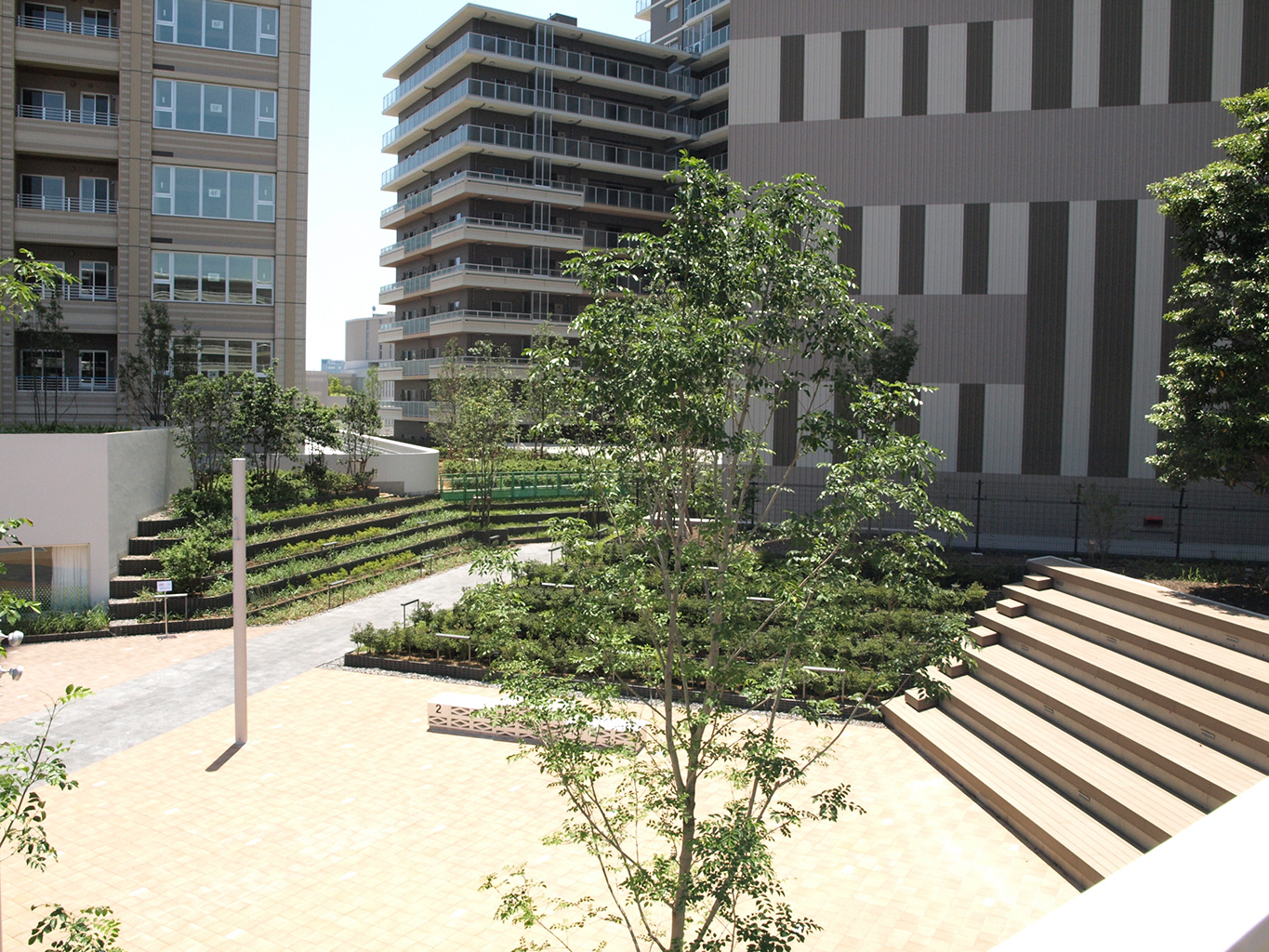 柏之叶大学城-21