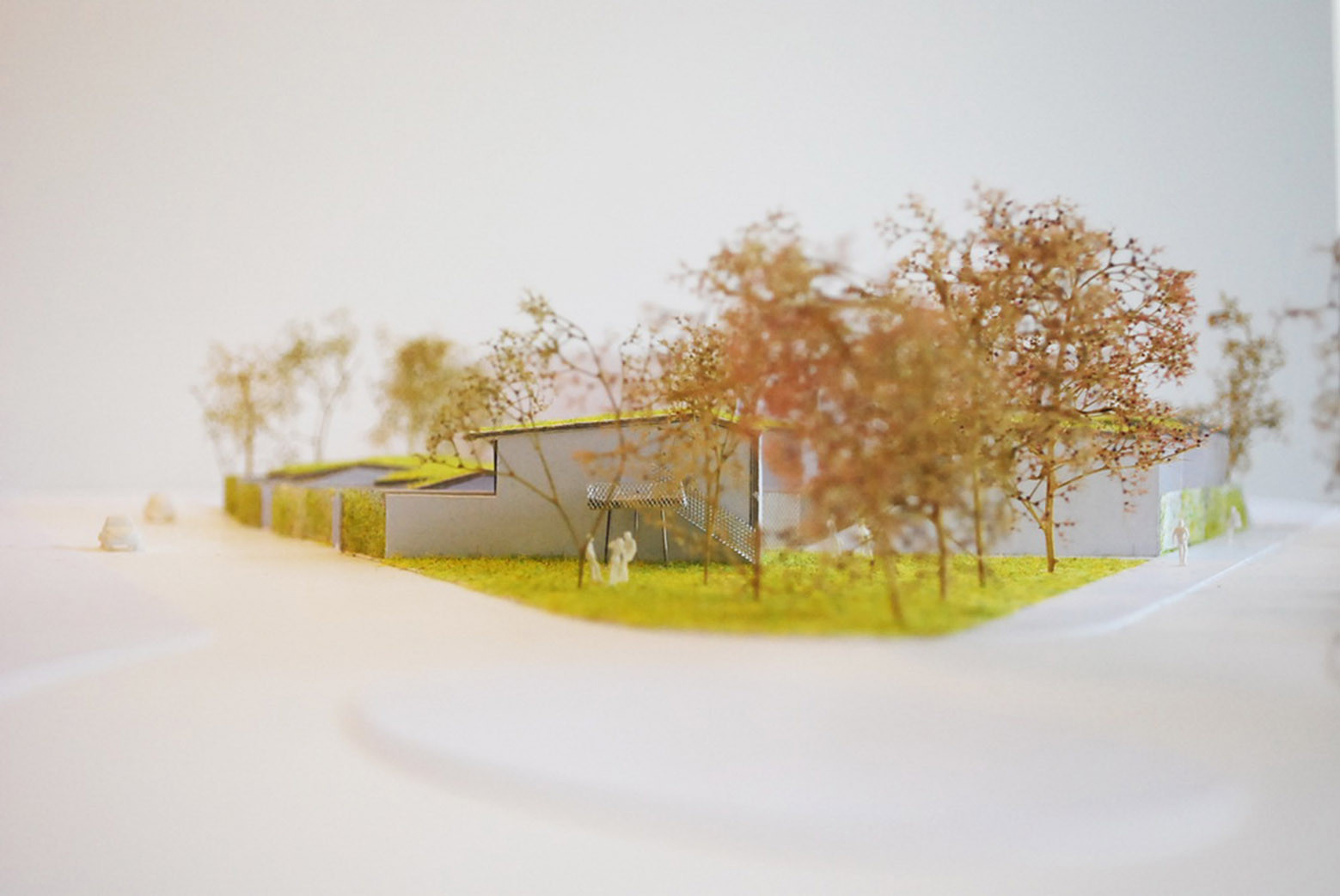 法国 16 座公益住房翻修工程，和谐融入自然景观-42