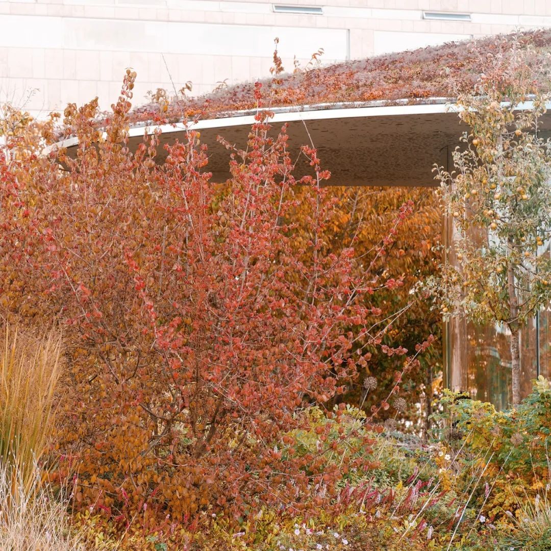 TheOperaPark歌剧院公园-10