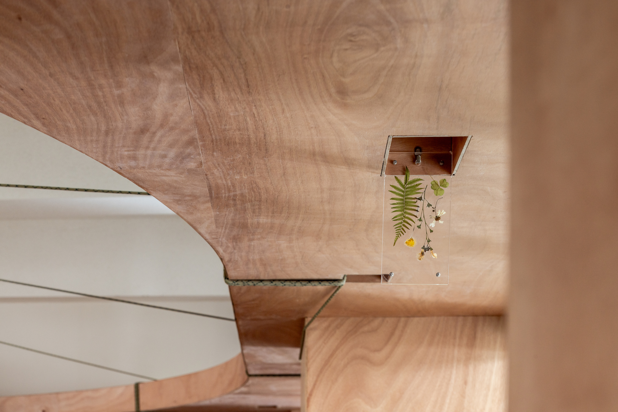 Qingshan Forest Junior High School Classroom / 317designstudio-29