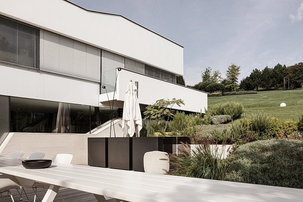 别墅丨奥地利维也纳丨Steininger Architects-10