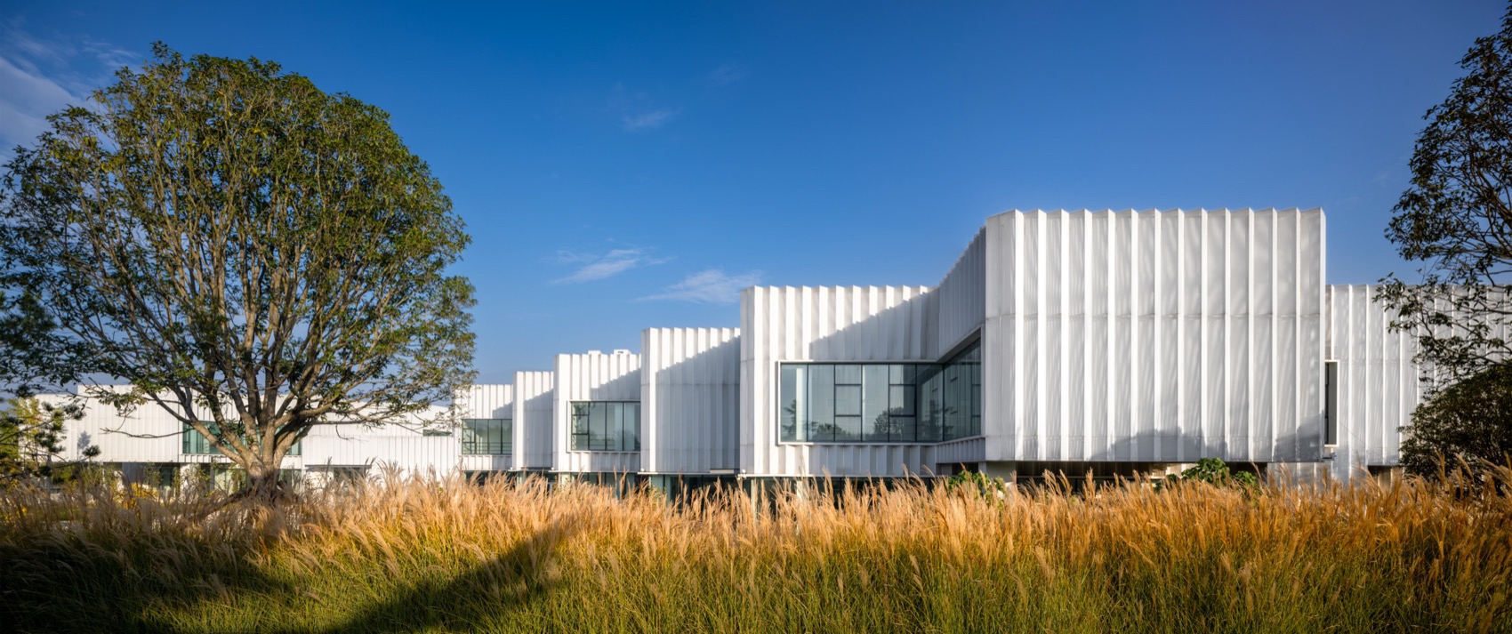 南阳世界月季大观园科研办公楼丨中国南阳丨北林风景建筑研究中心-21