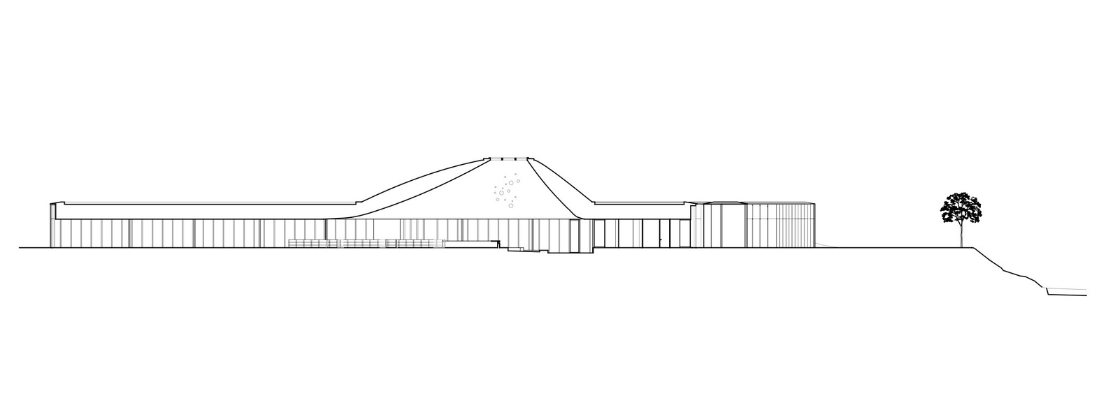 加拿大斯普林代尔图书馆和驹形丸公园-59