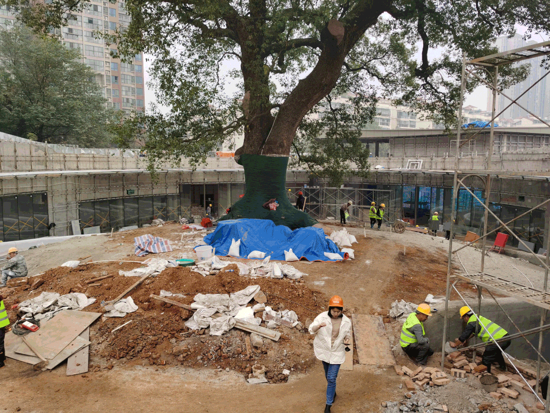 长沙万科·半岛国际丨中国长沙丨SED新西林景观国际（长沙）-46